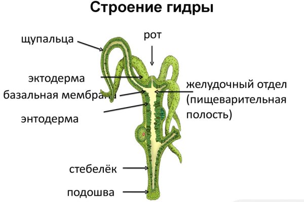 Блекспрут зеркала 1blacksprut me