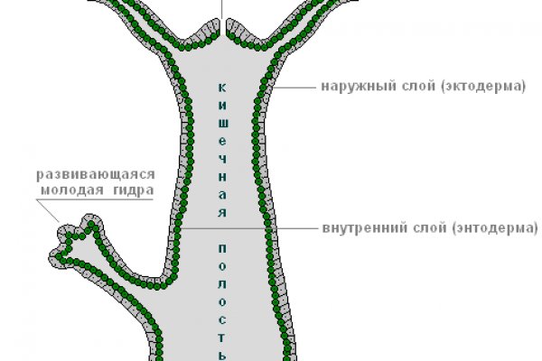 Блэкспрут как зайти