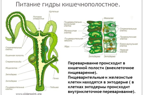 Оригинальная ссылка на blacksprut